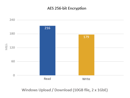 AES 256-bit Encryption (2 x GbE)