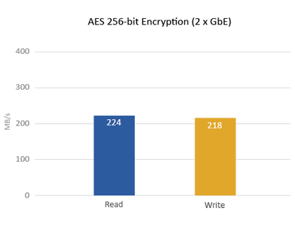 AES 256-bit Encryption (2 x GbE)