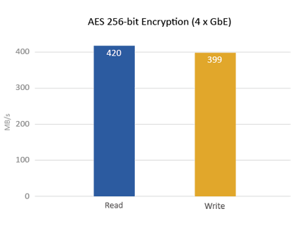 AES 256-bit Encryption (4 x GbE)